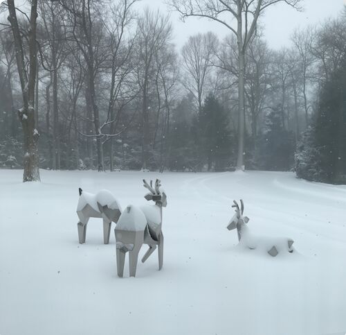 Son şirket blogları hakkında Kristalin Sürü: Doğanın Geometriyle Buluştuğu Yer