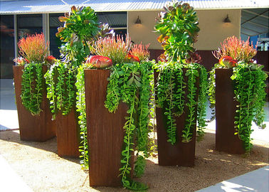 İyi bir fiyat. Dış Dekorasyon 80cm Yükseklik İçin Modern Stil Büyük Corten Çelik Ekici Kutuları çevrimiçi