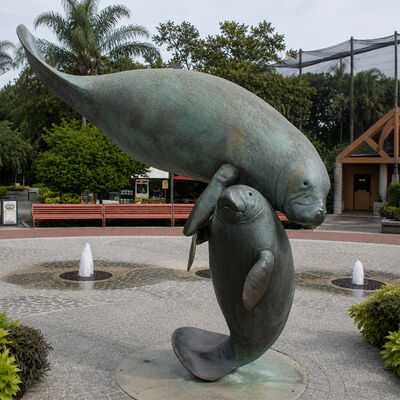 İyi bir fiyat. Büyük Bronz Manatee Anne ve Bebek Heykel Deniz Hayvanı Kıyı Bahçesi Açık Hava Sanat Heykeli çevrimiçi